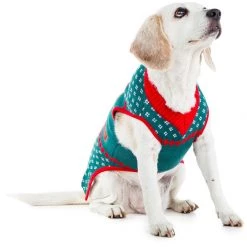 Tipsy Elves Holidays & Occasions Little Present Dog Sweater