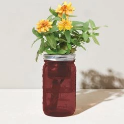 Tipsy Elves Garden Jar - Zinnia Holidays & Occasions 6 Tipsy Elves Garden Jar - Zinnia Holidays & Occasions