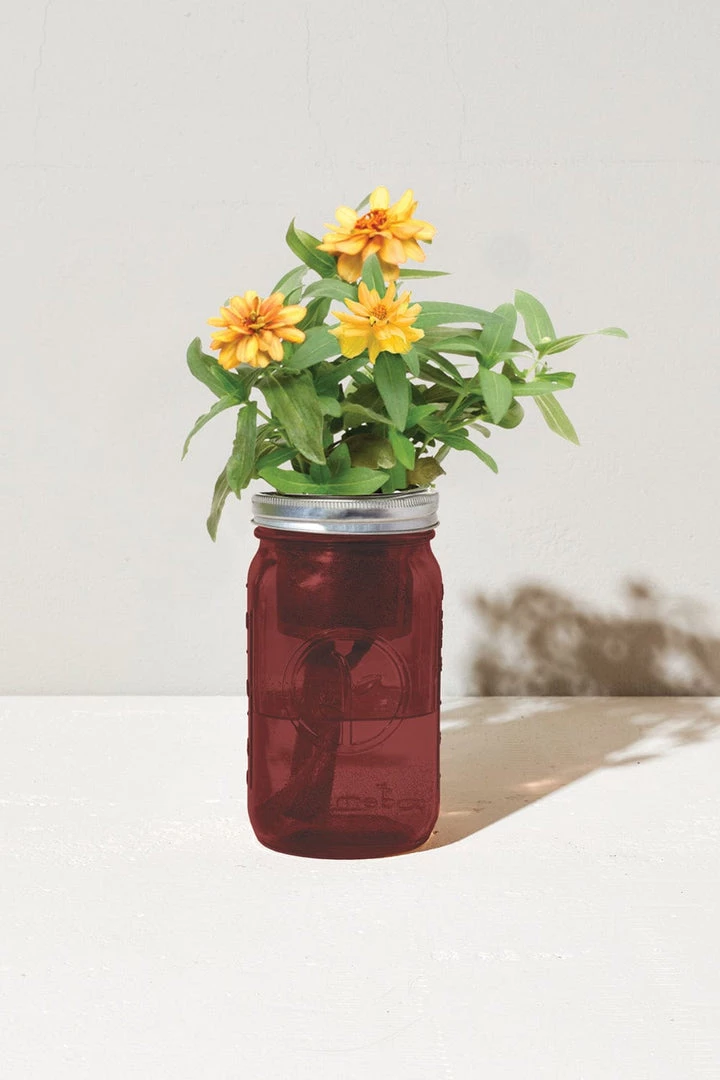 Tipsy Elves Garden Jar - Zinnia Holidays & Occasions 3 Tipsy Elves Garden Jar - Zinnia Holidays & Occasions