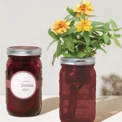 Tipsy Elves Garden Jar - Zinnia Holidays & Occasions 7 Tipsy Elves Garden Jar - Zinnia Holidays & Occasions