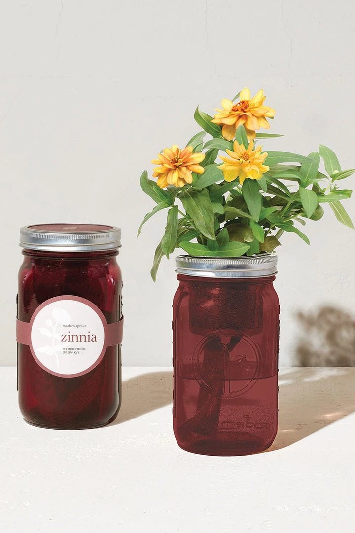 Tipsy Elves Garden Jar - Zinnia Holidays & Occasions 4 Tipsy Elves Garden Jar - Zinnia Holidays & Occasions