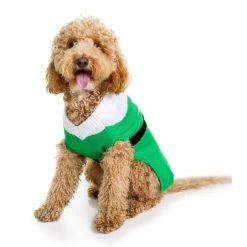 Tipsy Elves Holidays & Occasions Elf Dog Sweater