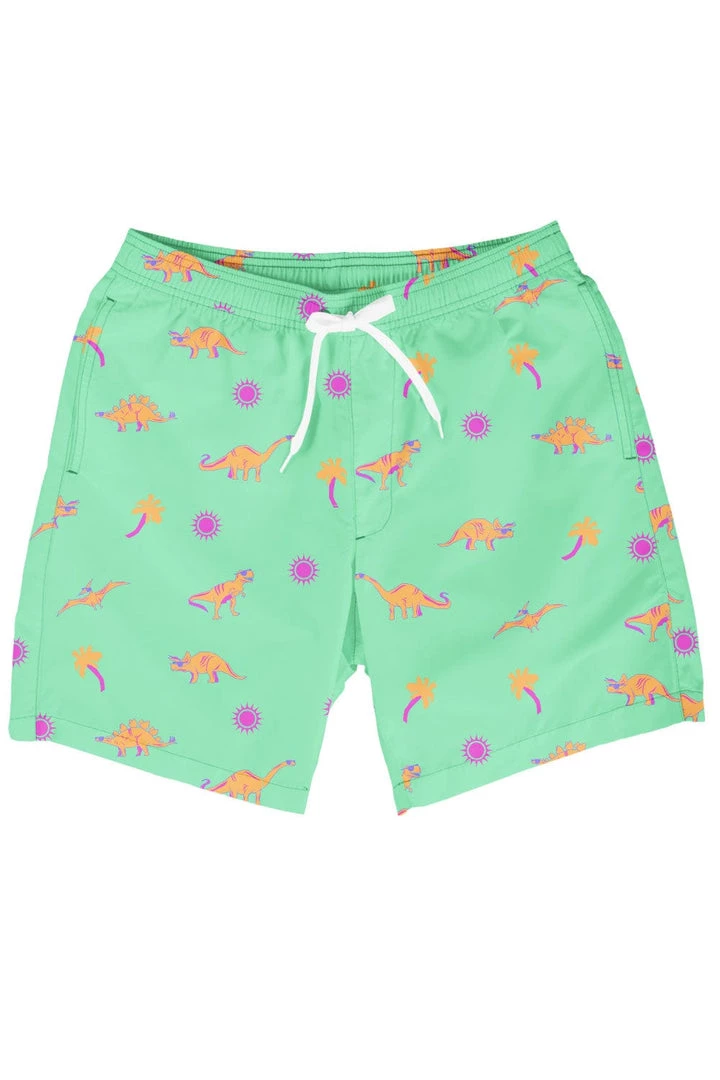 Tipsy Elves Dino Desert Stretch Swim Trunks Men 7 Tipsy Elves Dino Desert Stretch Swim Trunks Men