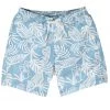 Tipsy Elves Big Gulp Summer Swim Trunks Spring